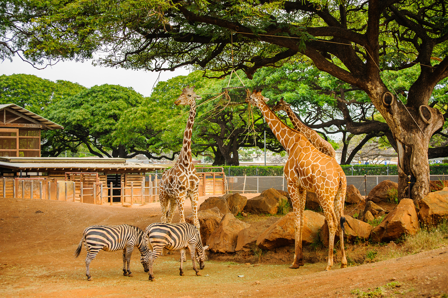 shutterstock_246506902